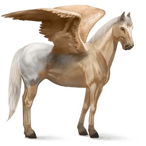 pegaso de montar pura raza española gris tordo