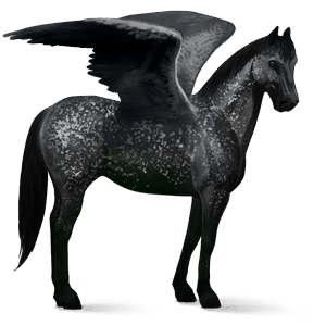 pegaso de montar bayo