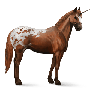 unicornio de montar apalosa appaloosa alazán moteado