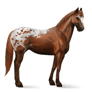 caballo de montar silla francesa alazán tostado