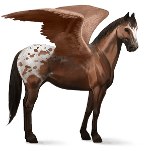 pegaso de montar bayo