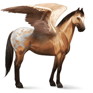 pegaso de montar pura raza española gris tordo