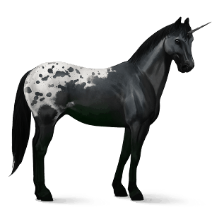unicornio de montar pura sangre isabelo