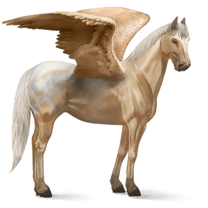 pegaso de montar peruano de paso bayo cereza