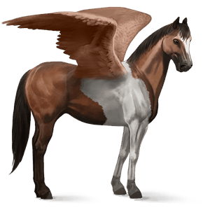 pegaso de montar pinto pío tobiano bayo