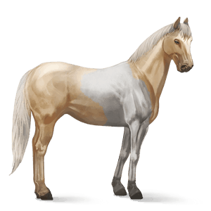 caballo de montar pura raza española bayo