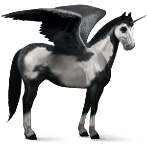 unicornio de montar alado pinto pío alazán overo