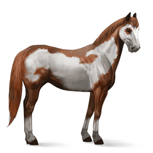 caballo de montar pío alazán overo