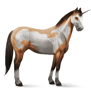 unicornio de montar pinto pío overo isabelo