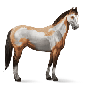 caballo de montar alazán tostado