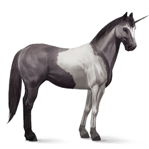 unicornio de montar pura raza española bayo cereza
