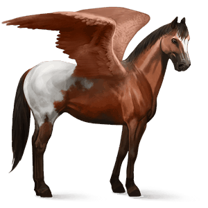 pegaso de montar silla francesa overo