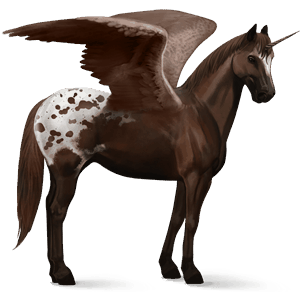unicornio de tiro alado drum horse pío tobiano bayo