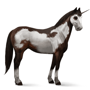 unicornio de montar pinto pío tobiano gris ratón