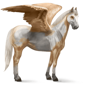 pegaso de montar cuarto de milla bayo cereza