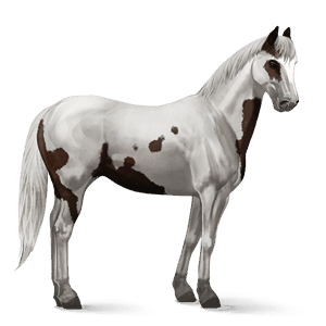 caballo de montar lusitano bayo