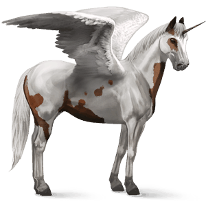 unicornio de montar alado criollo argentino pío tovero bayo 