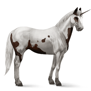 unicornio de montar bayo moteado