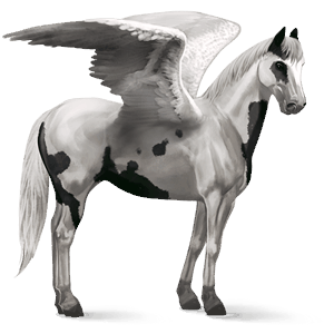 pegaso de montar nokota roano