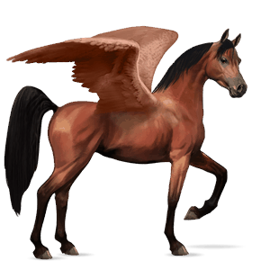 pegaso de montar Árabe bayo cereza