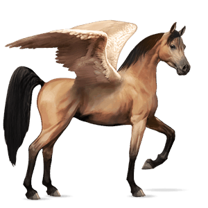 pegaso de montar pura raza española negro