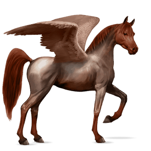 pegaso de montar Árabe overo