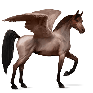 pegaso de montar shagya arabian gris claro