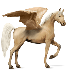 pegaso de montar Árabe bayo cereza