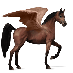 pegaso de montar Árabe bayo