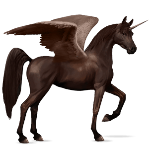 unicornio de montar alado criollo argentino pío tovero bayo 
