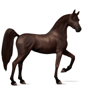 caballo de montar alazán tostado