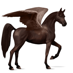 pegaso de montar akhal-teke palomino