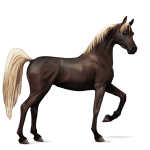 caballo de montar palomino