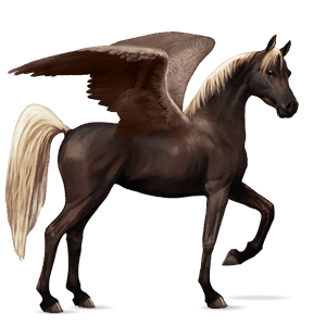 pegaso de montar Árabe gris tordo