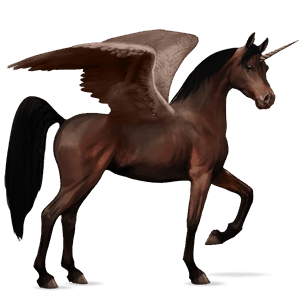 unicornio de montar alado criollo argentino pío tovero bayo 