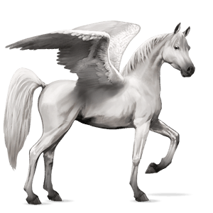 pegaso de montar alazán crines lava