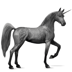 unicornio de montar pura raza española gris tordo