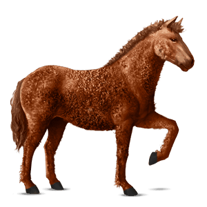 caballo de montar donskaya alazán