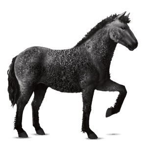 caballo de montar apalosa snowflake negro