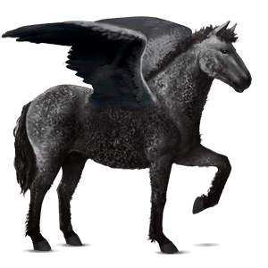 pegaso de montar kwpn negro