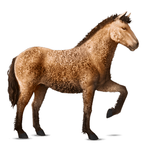 poni chilote negro