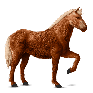 caballo de montar rizado alazán crines lava