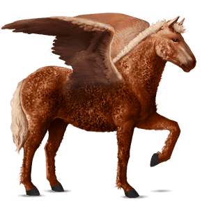 pegaso de montar pura raza española gris tordo