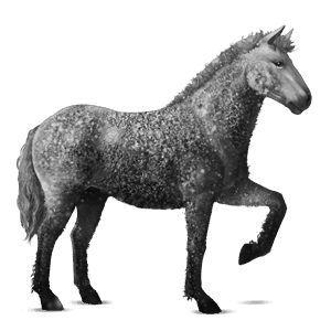 caballo de montar pura raza española gris tordo