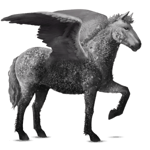 pegaso de montar rizado gris tordo