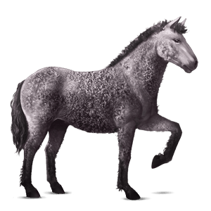 caballo de montar rizado gris ratón