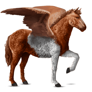pegaso de montar pura raza española bayo cereza