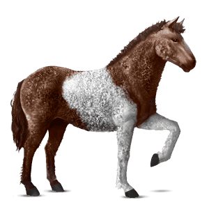 caballo de montar alazán tostado