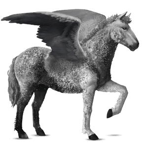 pegaso de montar pura raza española negro