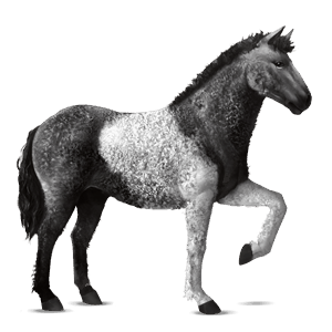 caballo de montar pura raza española gris tordo